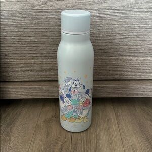 Tokyo Disney Store Mickey & Friends Stainless Steel Bottle 500ml Japan